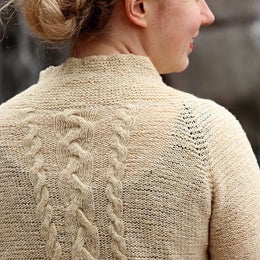 Flying Donegal - pdf